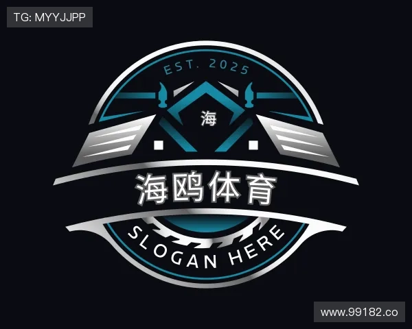 洞悉海鸥体育